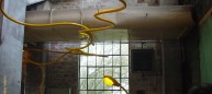 Generation 2003. A series of 22' long "streetlight sperm" danced through the decomissioned Georgetown (steam) Powerplant Museum.