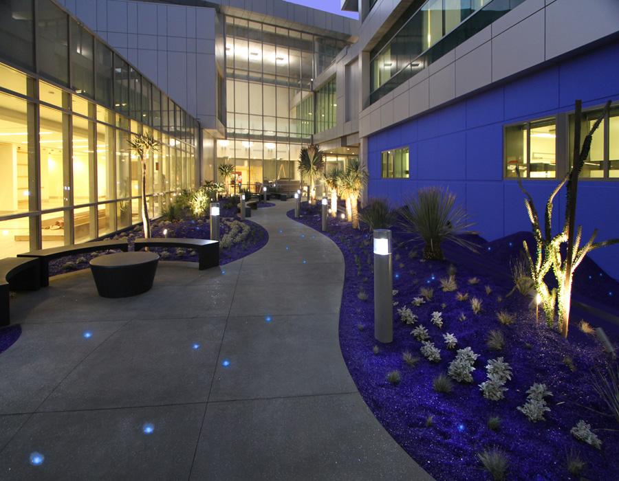 The Azul Healing Garden at the MLK Hospital in Los Angeles was conceived as a calming central courtyard in a stressful and arid urban environment. The space is anchored by 33 tons of blue glass mulch, plants with blue colored leaves, and twinkling blue lights in the walkway and planting beds. Rather than just using plants that have historically been used to heal, I was interested in creating a space that could help induce calmness and creativity by utilizing the basic tenants chromotherapy and infusing the courtyard with azul.  